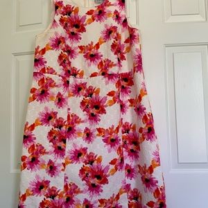 Kasper woman’s Dress